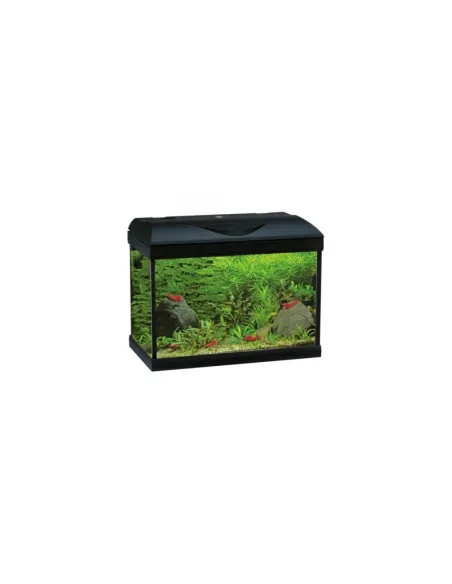 Acquario Amtra Basic Led 60 Black