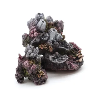 Decoraz.acquari Pianta Serie F 13cm Mix a8011607