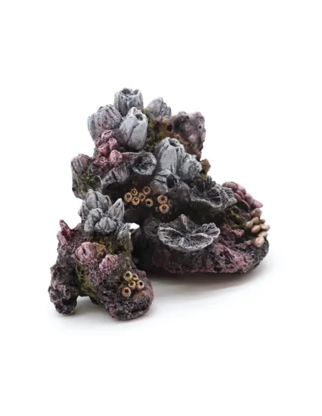 Decoraz.acquari Pianta Serie F 13cm Mix a8011607