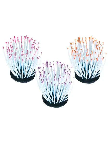 Decorazione Acquari Anemone Reef 7.2x7.2x9