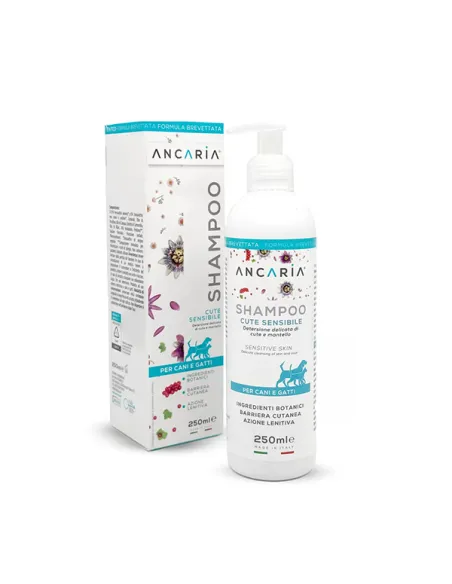 Ancaria Shampoo 250 ml