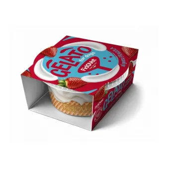 Dog Gelato Fidovet 40g Fragola