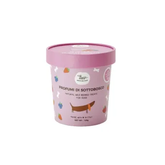 Hygge Biscotto Sottobosco Dog 100g