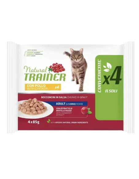 Trainer NT Flowpack Adult Pollo 4 x 85 gr