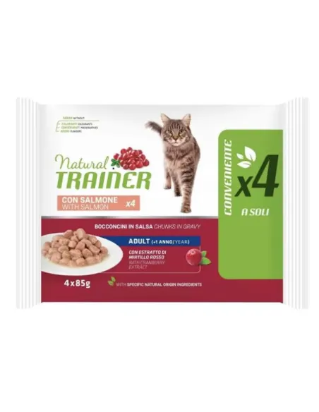 Trainer NT Flowpack Adult Salmone 4 x 85 gr