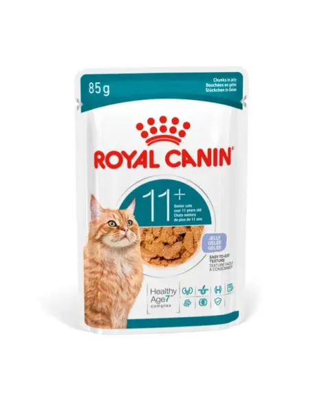 Royal Canin Ageing +11 Jelly Busta Singola 85 gr