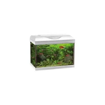Acquario Amtra Basic Led 40 White