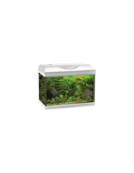 Acquario Amtra Basic Led 40 White