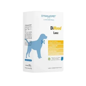 Dimood Large 20 Bustine 10 g New