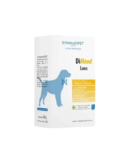 Dimood Large 20 Bustine 10 g New