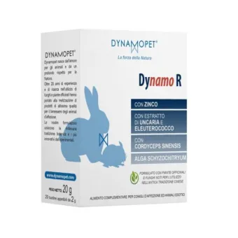 Dynamo R 20 Bustine 2 g