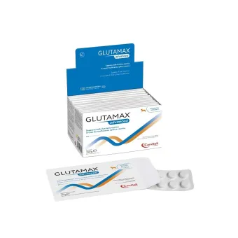 Glutamax Advanced 120 cpr