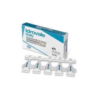 Idrovale Daily 10 fl