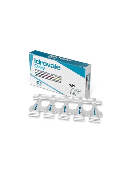 Idrovale Daily 10 fl