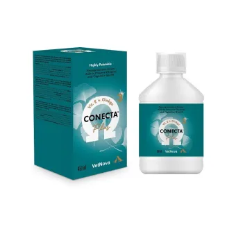 Conecta Plus 450 ml
