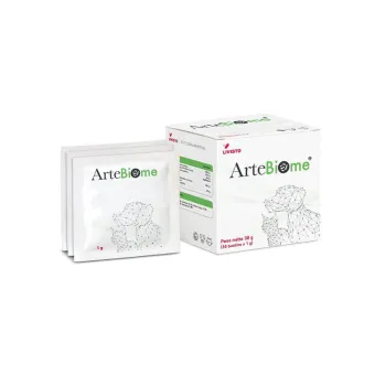 Artebiome 30 bust