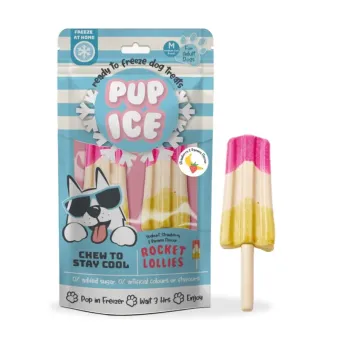 Pup Ice Rocket Lollies Strawberry & Banana 2pk 90g