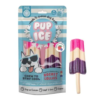 Pup Ice Rocket Lollies - Strawberry & Blueberry 2pk 90g