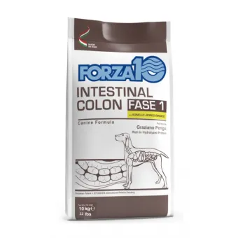 Forza 10 Cane Intestinal Colon Fase 1 Agnello 10 kg