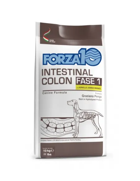 Forza 10 Cane Intestinal Colon Fase 1 Agnello 10 kg