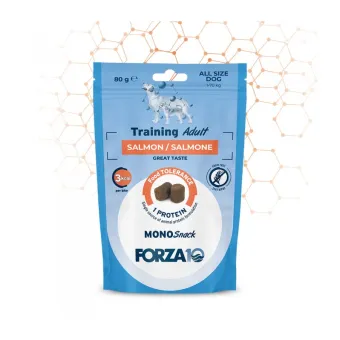 F10 Cane Snack Train Adult Salmone 80 g
