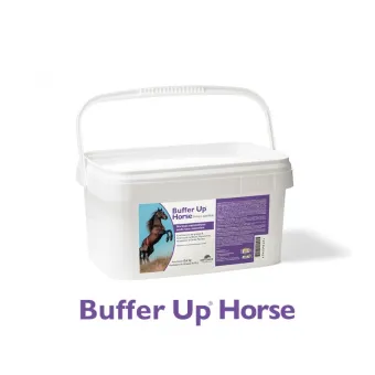 Buffer Up Horse 20 bust 30 gr