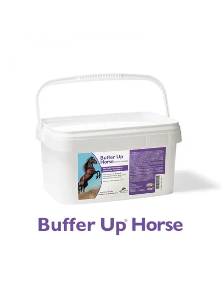 Buffer Up Horse 20 bust 30 gr