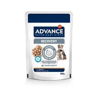 Advance Dog&Cat Bst Recovery 100 gr