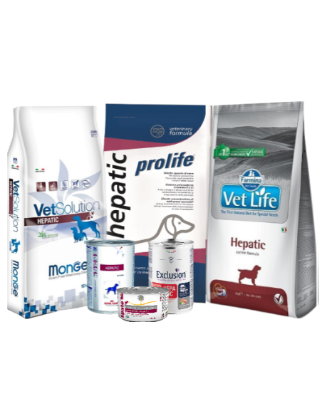 Hepatic