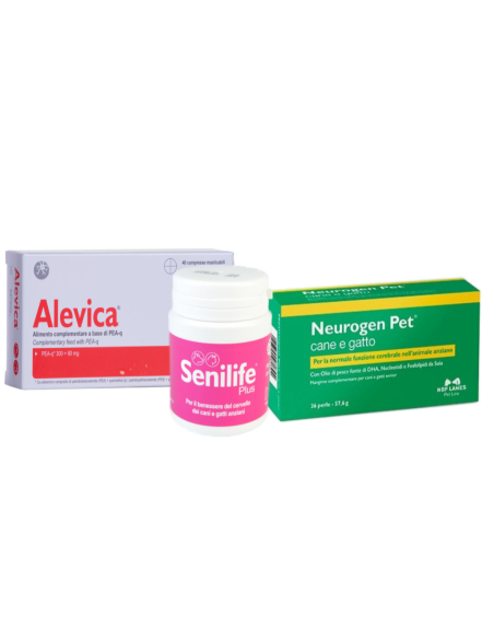 Sistema nervoso