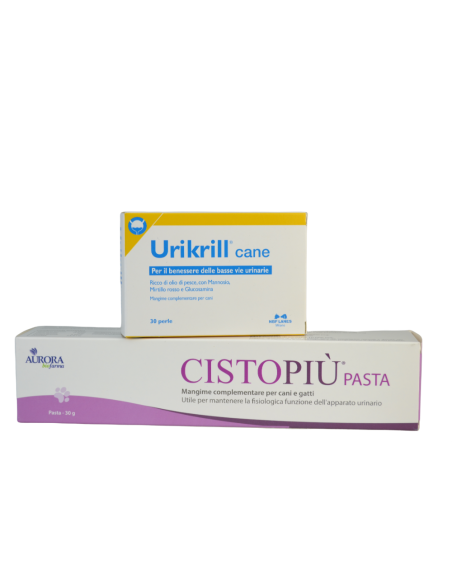 Apparato renale e urogenitale