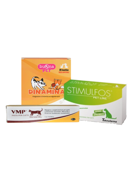 Recupero e vitamine