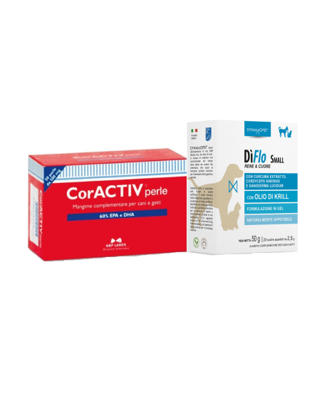 Apparato cardiocircolatorio