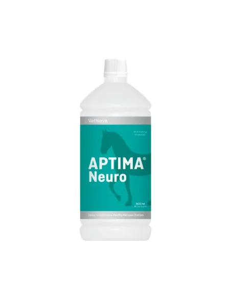 Sistema nervoso
