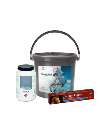 Apparato gastrointestinale