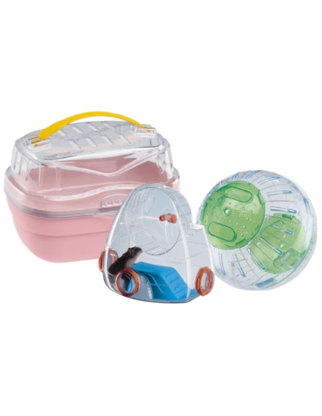 Accessori e giochi