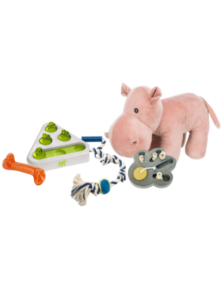 Giochi e attività