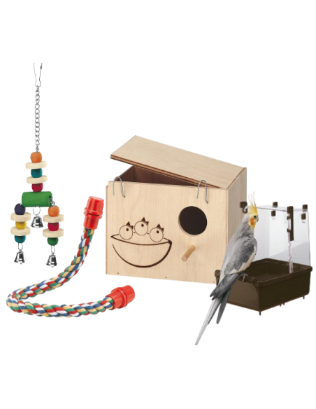 Accessori e giochi