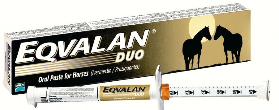 eqvalan duo