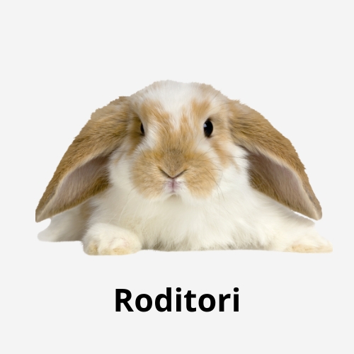 Roditori