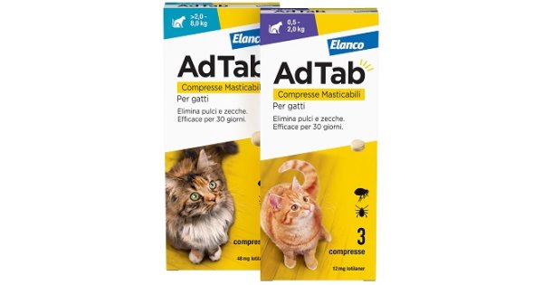 adtab gatti
