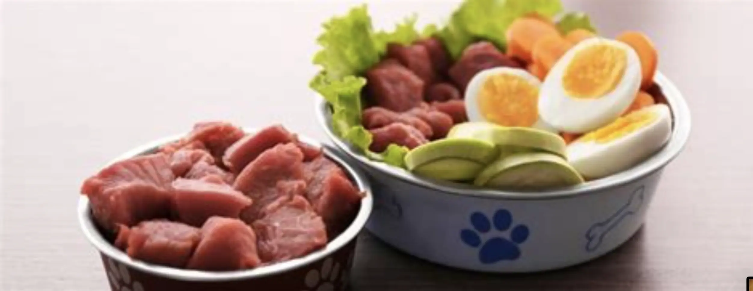 Cibo cotto per cani
