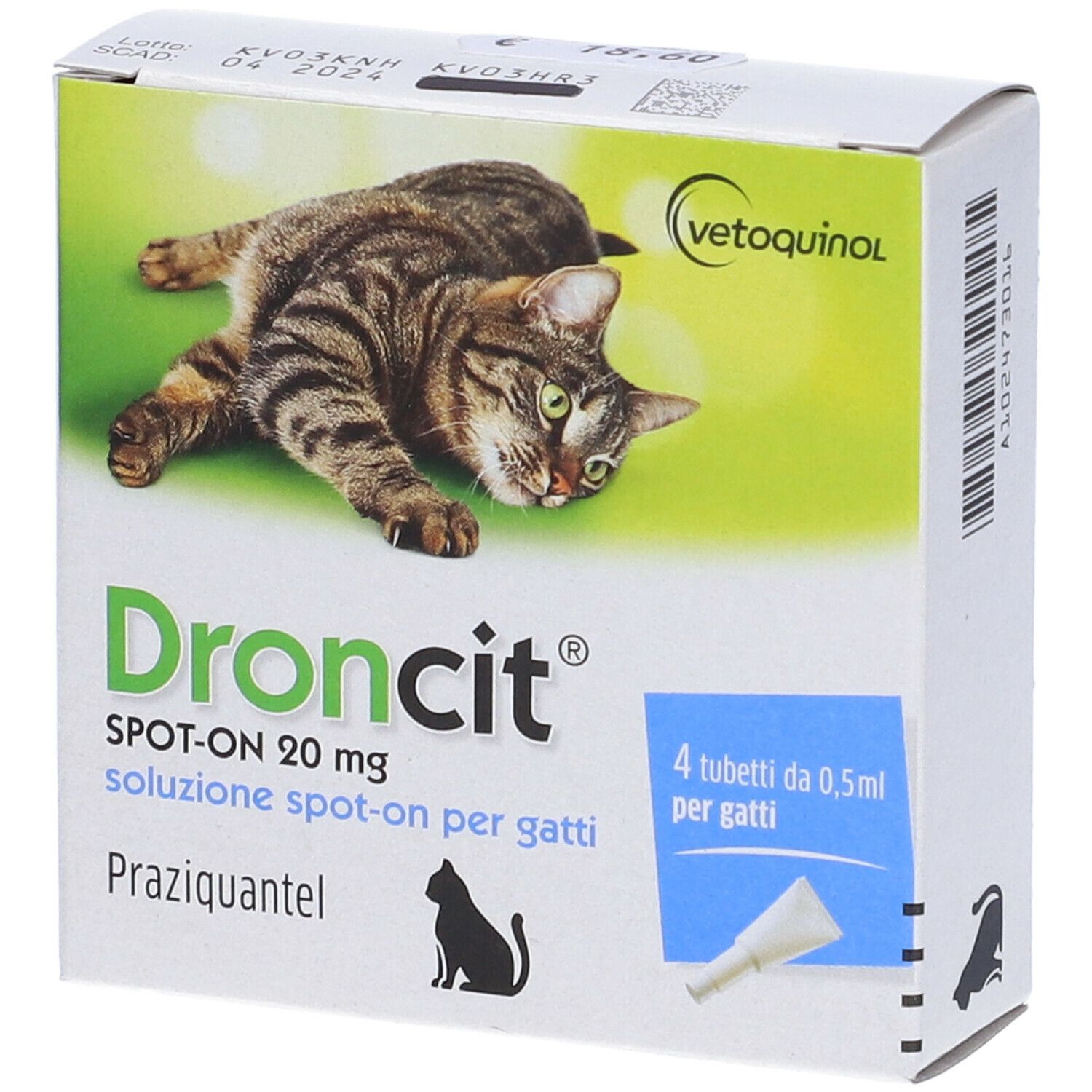 droncit gatti