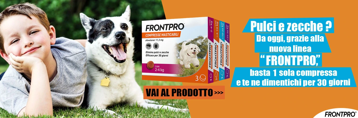 Frontpro
