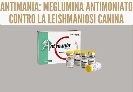 Antimania: Meglumina Antimoniato contro la Leishmaniosi canina Antimania: Meglumina Antimoniato contro la Leishmaniosi canina