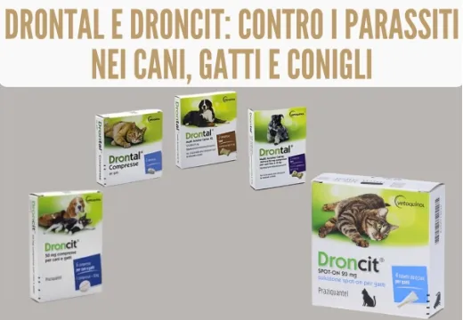 Vermifughi per cani e gatti : Drontal e Droncit