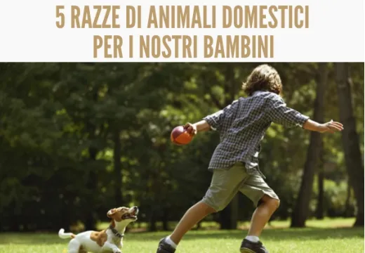 Animale domestico per bambini: 5 razze tra cui scegliere.