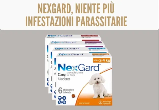 Nexgard: la pillola contro le infestazioni parassitarie nel cane