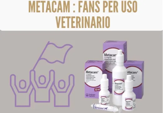 Metacam: casi di utilizzo nei cani e gatti
