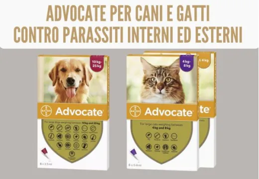 Advocate cani e gatti per il trattamento di parassiti interni ed esterni